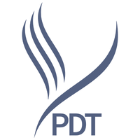 PDT global logo