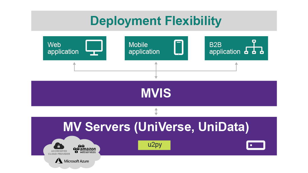 A diagram showing flexibility of MVIS deployment options