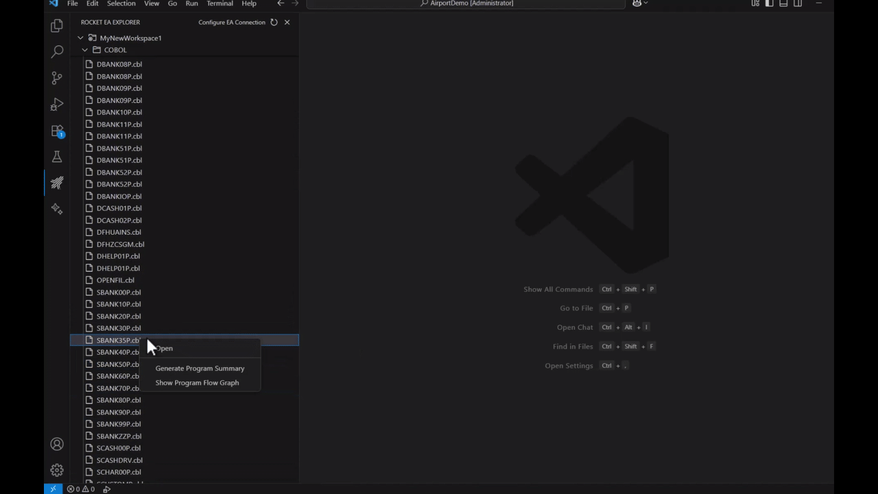 COBOL program summary generation