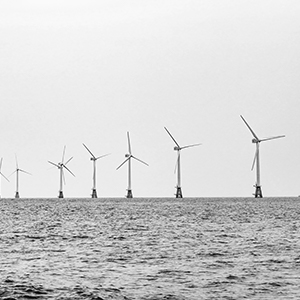 Environment, wind farm