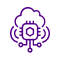 Partner Demonstration (NFR) Licenses
