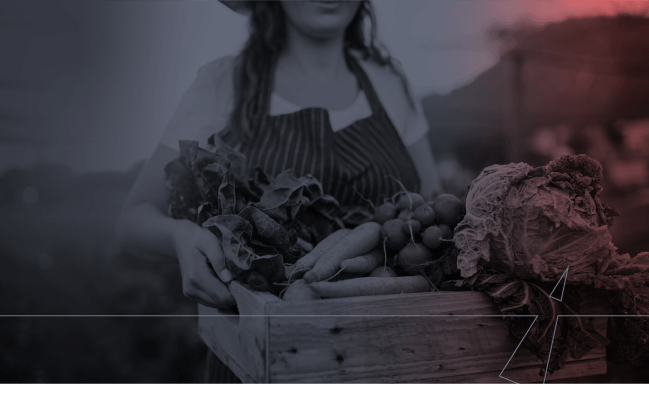 Woman holds a basket of fresh produce