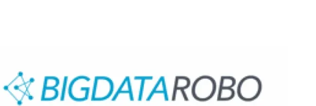Light blue and gray BigDataRobo logo