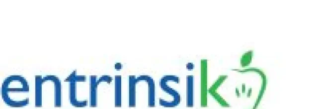Blue and green Entrinsik logo