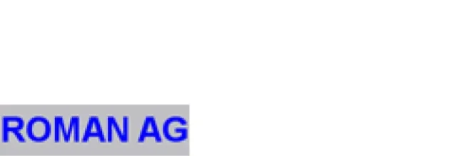 Gray and blue Roman AG logo
