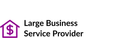 Large Business Service Provider