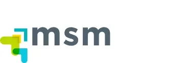 MSM Chile
