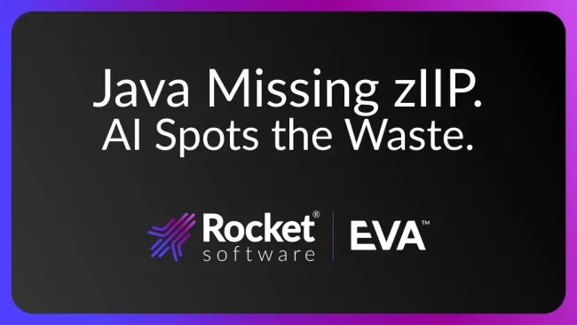 Java Missing zIIP