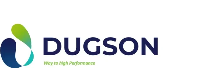 Dugson Consulting