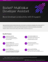 Rocket® MultiValue Developer Assistant